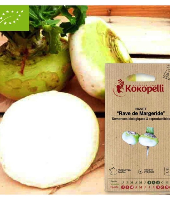Graines bio à semer - Navet...