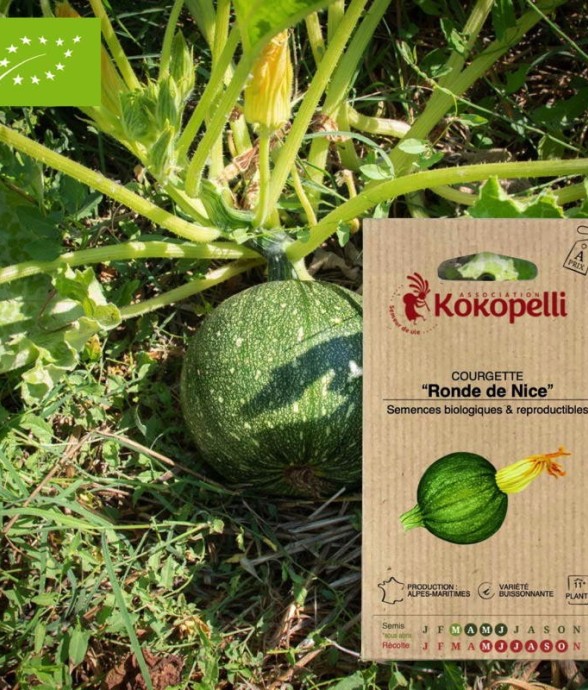 Graines bio à semer -...