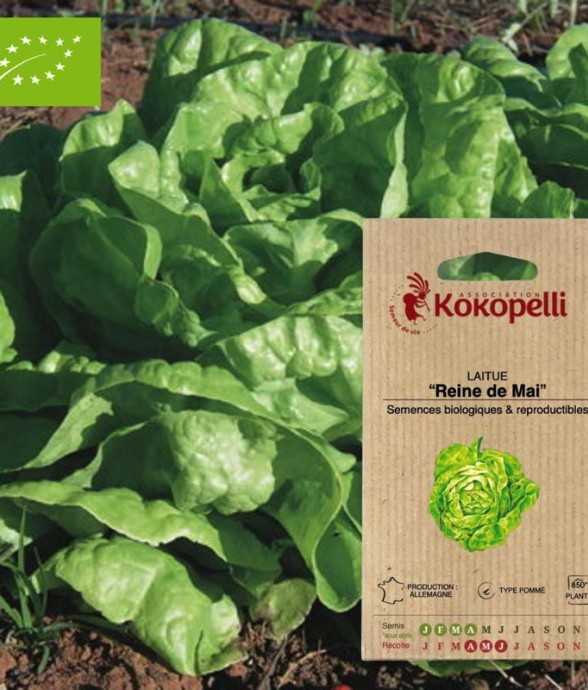 Graines bio à semer -...