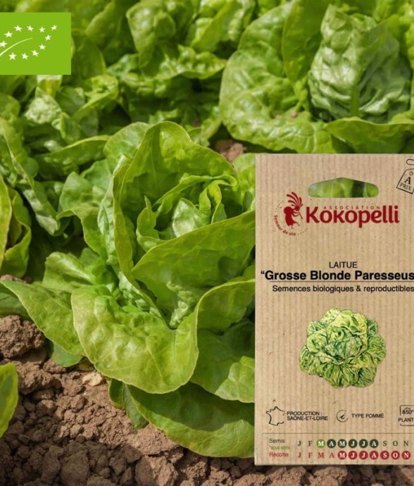 Graines bio à semer -...