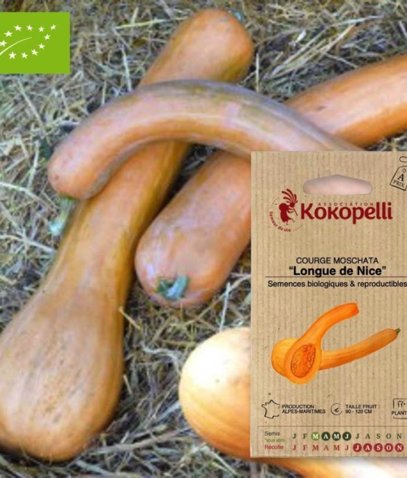 Graines bio à semer -...