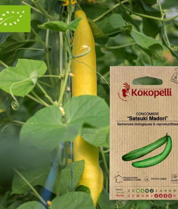 Graines bio à semer -...