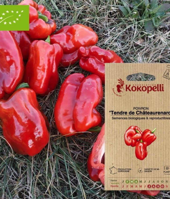 Graines bio à semer -...