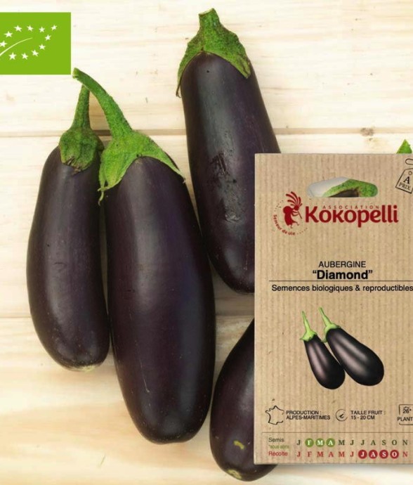 Graines bio à semer -...