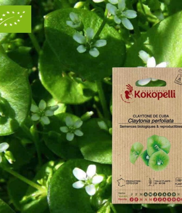 Graines bio à semer -...