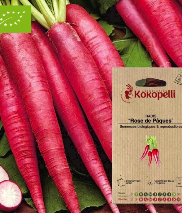 Graines bio à semer - Radis...