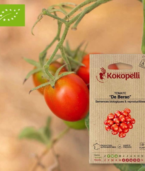 Graines bio à semer -...