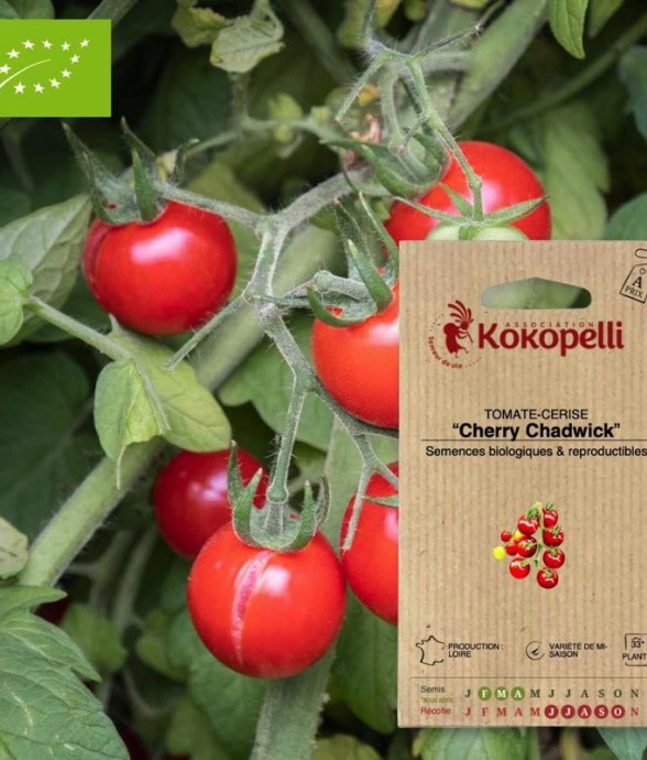 Graines bio à semer -...