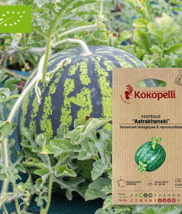 Graines bio à semer -...