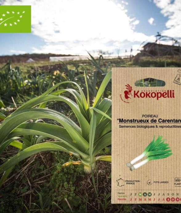 Graines bio à semer -...