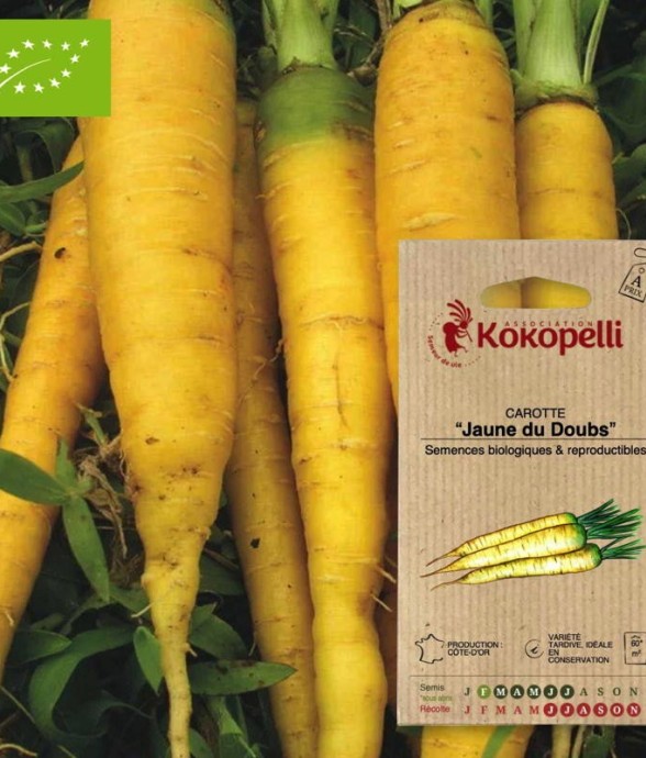 Graines bio à semer -...