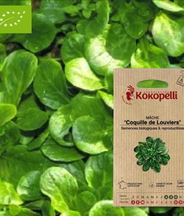 Graines bio à semer - Mâche...