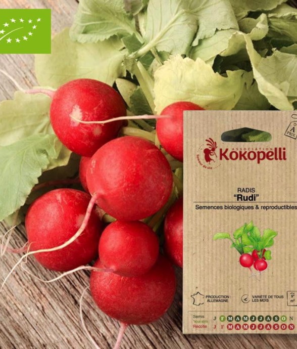 Graines bio à semer - Radis...