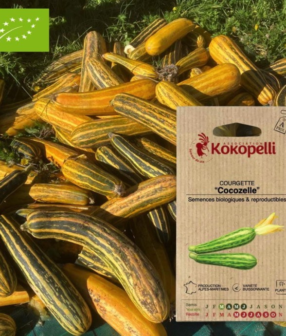 Graines bio à semer -...