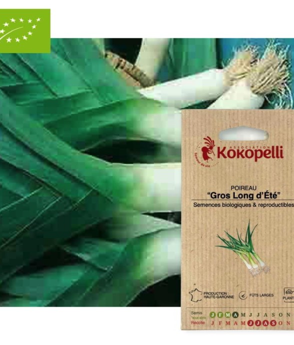 Graines bio à semer -...