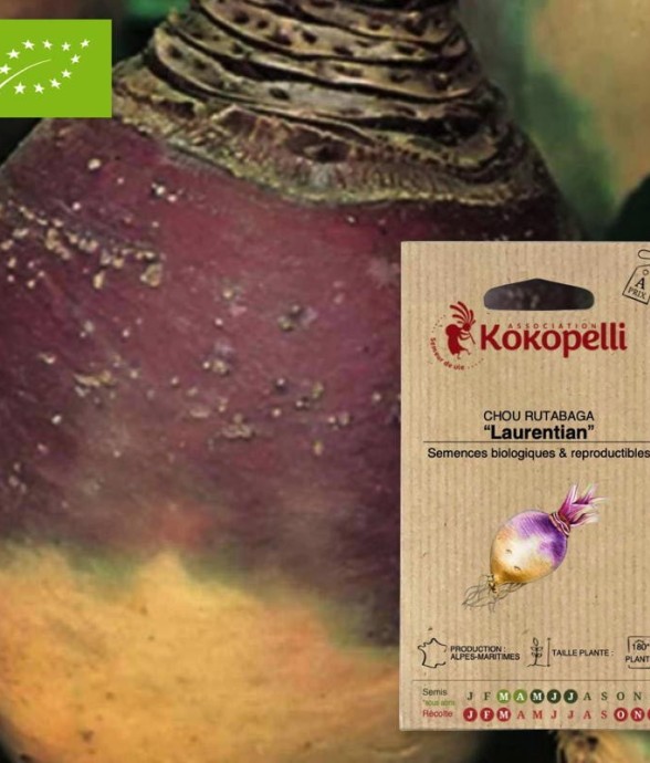 Graines bio à semer - Chou...