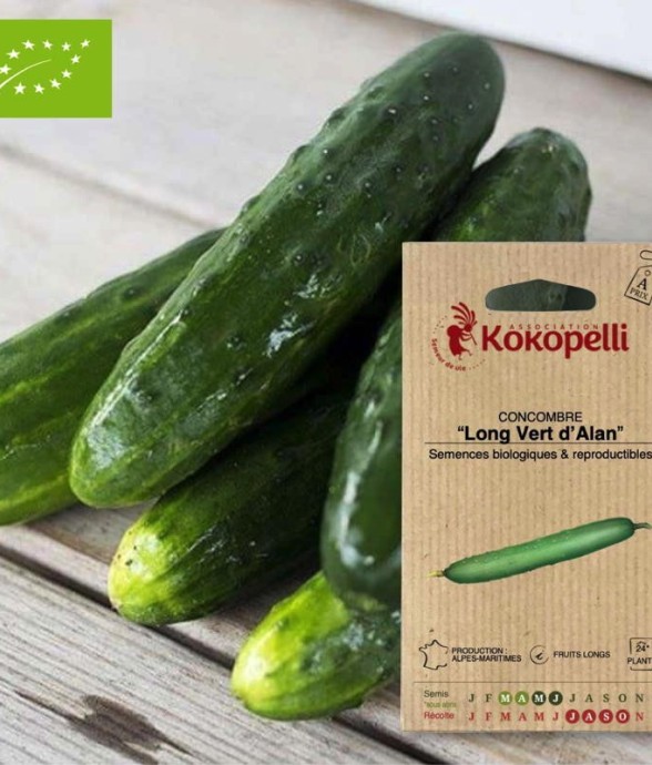 Graines bio à semer -...