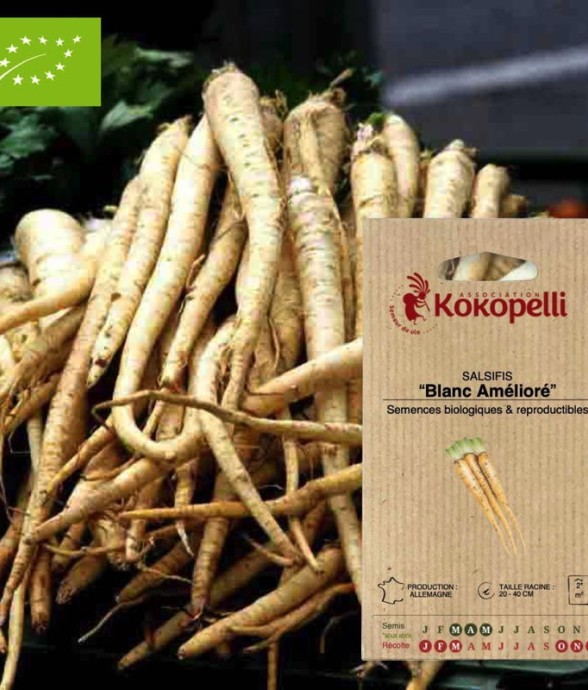 Graines bio à semer -...