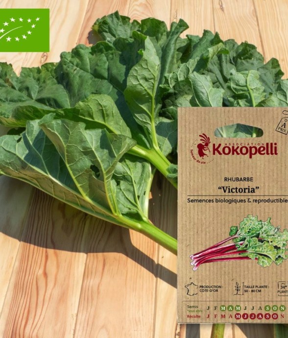 Graines bio à semer -...