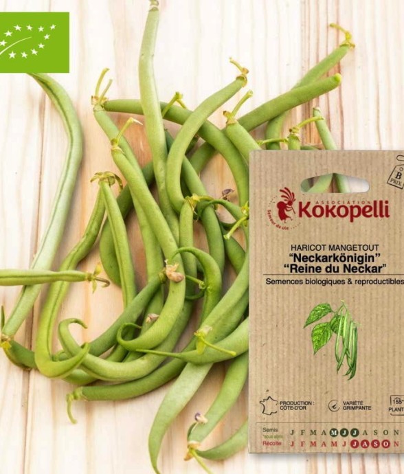 Graines bio à semer -...