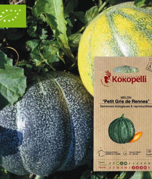Graines bio à semer - Melon...