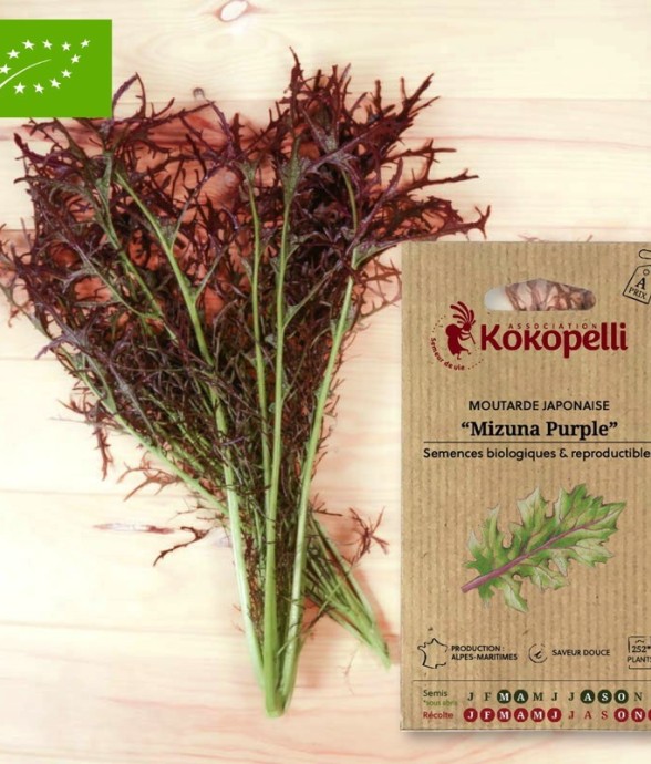 Graines bio à semer -...