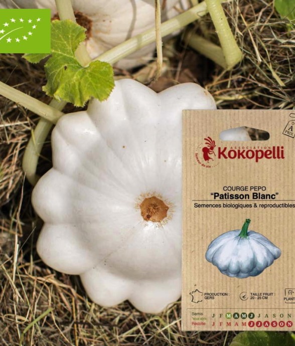 Graines bio à semer -...