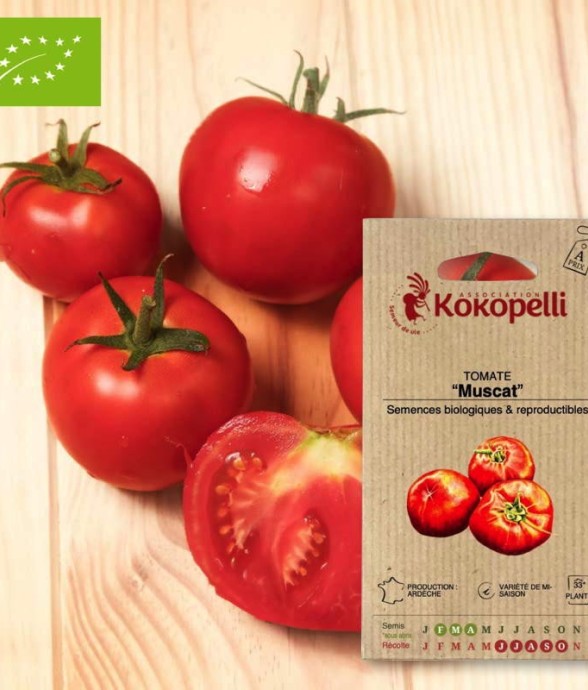 Graines bio à semer -...