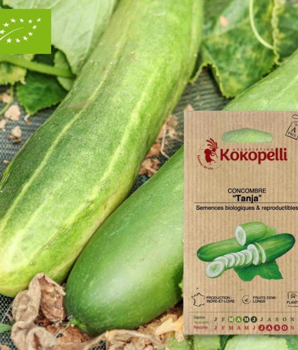 Graines bio à semer -...