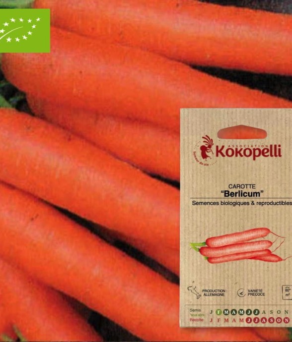 Graines bio à semer -...