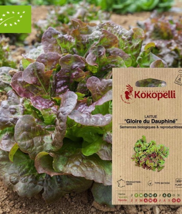 Graines bio à semer -...