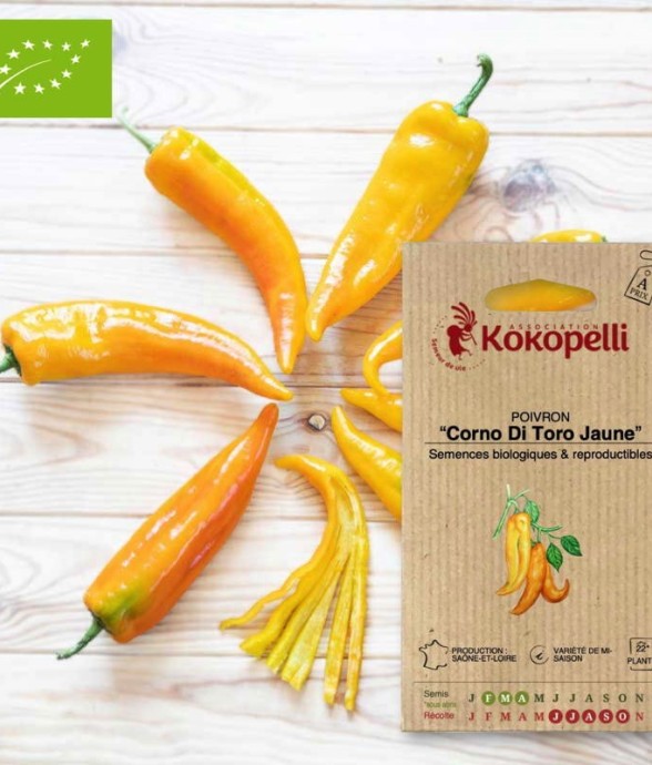 Graines bio à semer -...