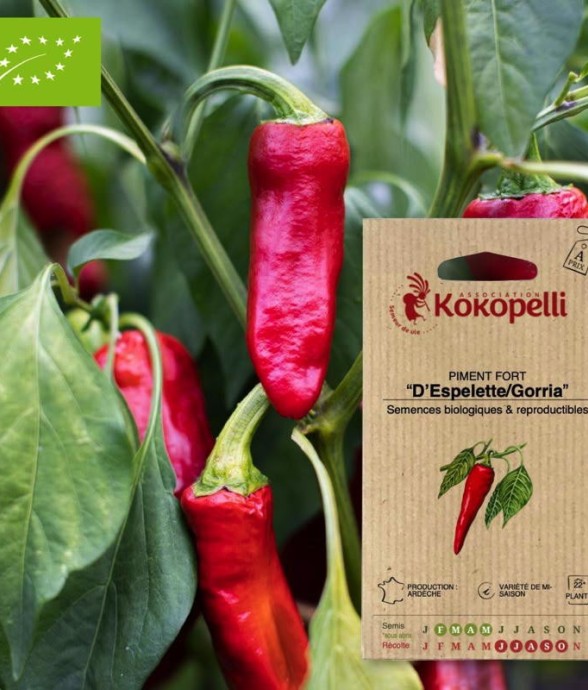 Graines bio à semer -...