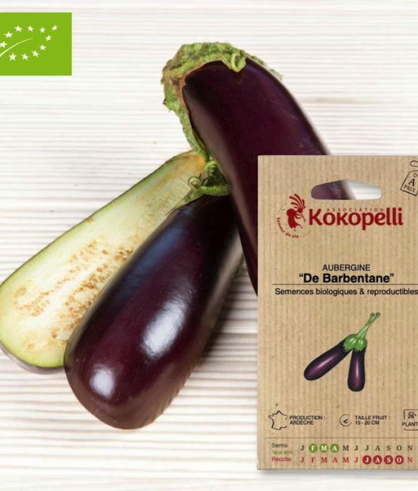 Graines bio à semer -...