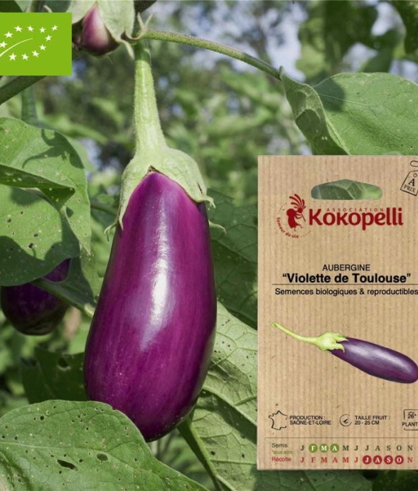 Graines bio à semer -...