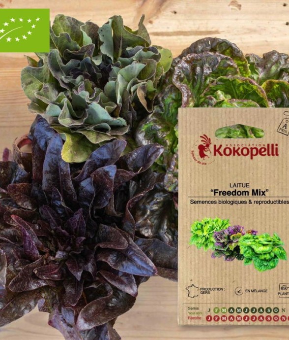 Graines bio à semer -...