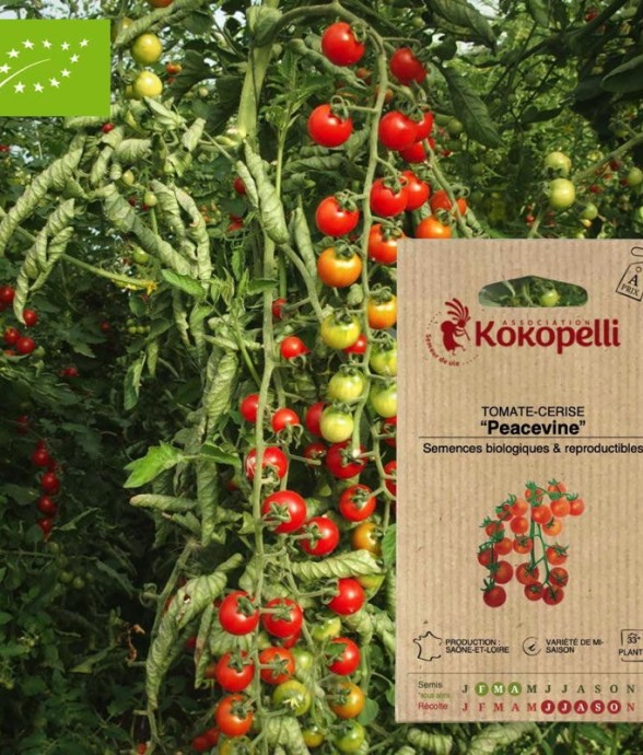 Graines bio à semer -...