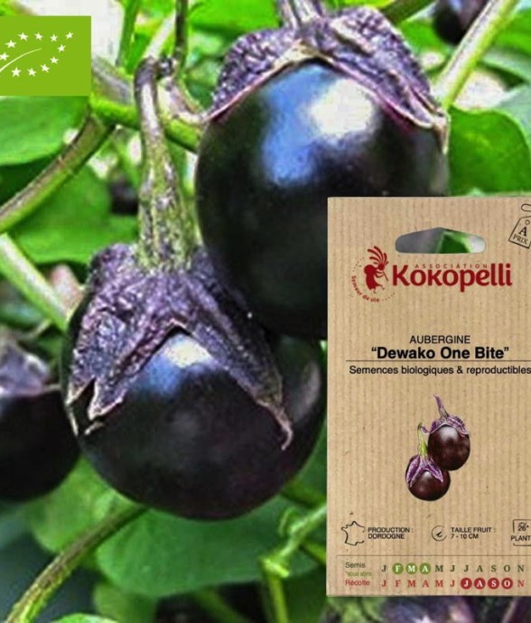 Graines bio à semer -...