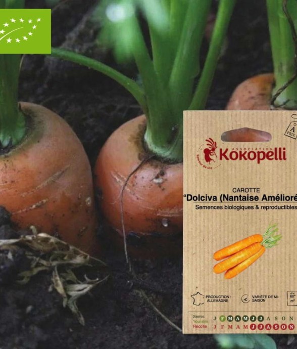 Graines bio à semer -...