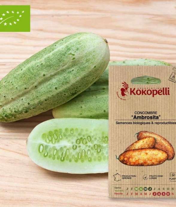 Graines bio à semer -...