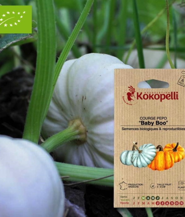 Graines bio à semer -...