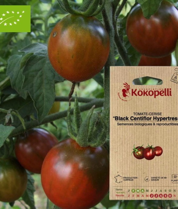 Graines bio à semer -...