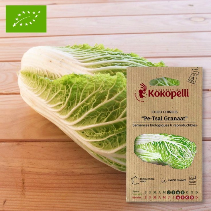 Graines bio à semer - Chou Chinois Pe-Tsai Granaat