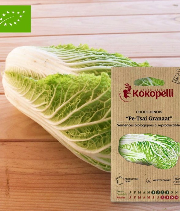 Graines bio à semer - Chou...