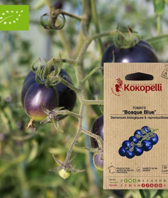 Graines bio à semer -...