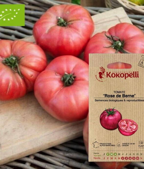 Graines bio à semer -...