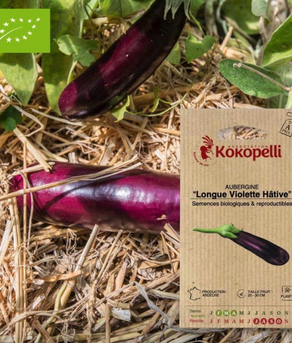 Graines bio à semer -...