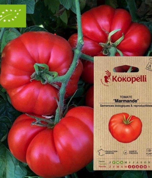 Graines bio à semer -...