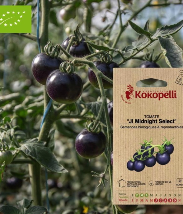 Graines bio à semer -...