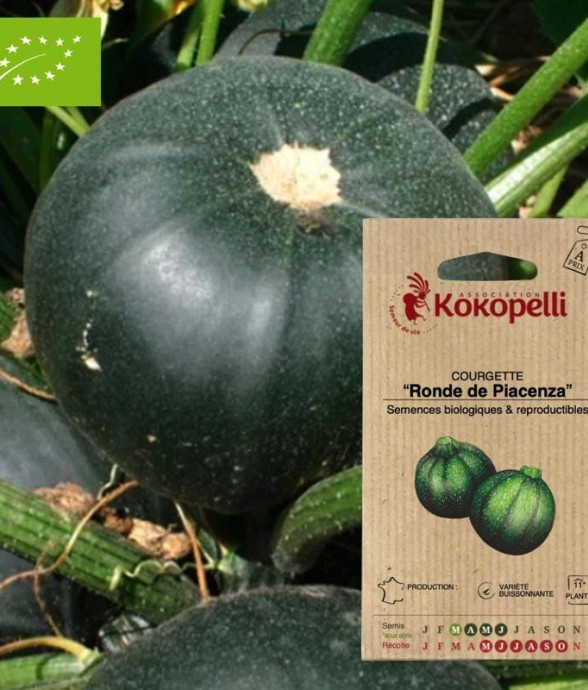 Graines bio à semer -...